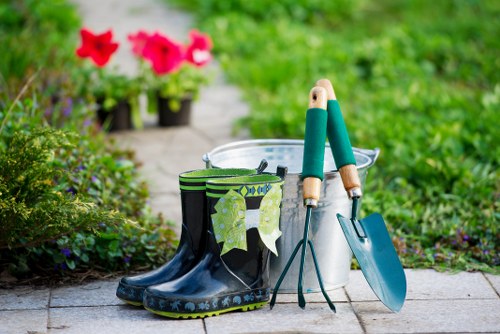 Seasonal tree care work in a Tottenham residential area