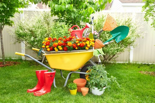 Professional crown reduction service for homes and businesses in Tottenham