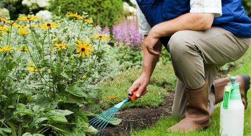 Domestic stump grinding service for a Tottenham home garden