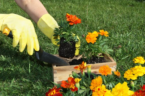 Updated cookie policy for Tree Surgeons Tottenham website