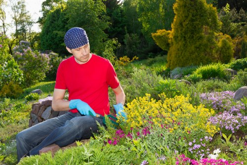Garden hedge shaping and trimming in Tottenham