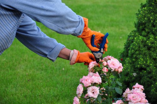 Local Tottenham tree surgeons completing careful maintenance and site cleanup after tree work